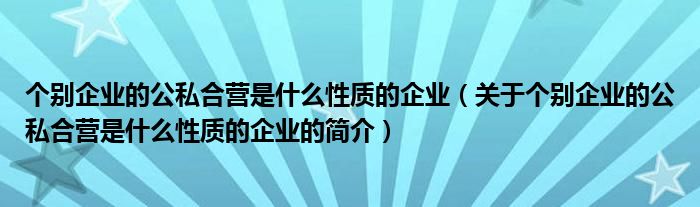 個別企業(yè)的公私合營是什么性質(zhì)的企業(yè)（關于個別企業(yè)的公私合營是什么性質(zhì)的企業(yè)的簡介）