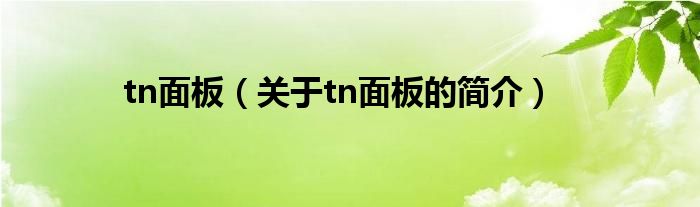 tn面板（關于tn面板的簡介）