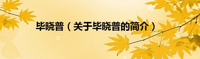 畢曉普（關(guān)于畢曉普的簡(jiǎn)介）