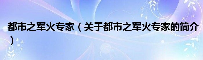 都市之軍火專家（關(guān)于都市之軍火專家的簡(jiǎn)介）