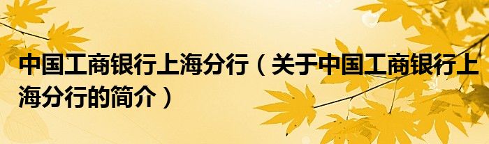 中國工商銀行上海分行（關于中國工商銀行上海分行的簡介）