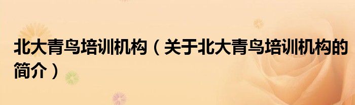 北大青鳥培訓機構（關于北大青鳥培訓機構的簡介）