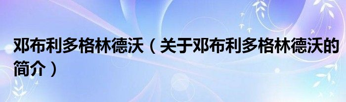 鄧布利多格林德沃（關(guān)于鄧布利多格林德沃的簡介）