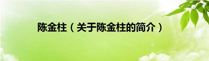 陳金柱（關(guān)于陳金柱的簡(jiǎn)介）