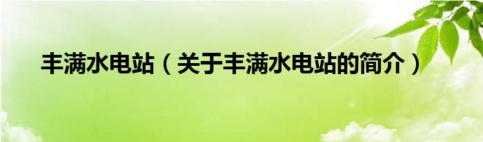 豐滿水電站（關(guān)于豐滿水電站的簡(jiǎn)介）