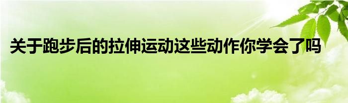 關(guān)于跑步后的拉伸運動這些動作你學會了嗎