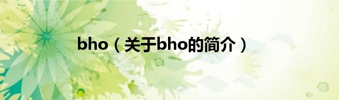 bho（關(guān)于bho的簡介）