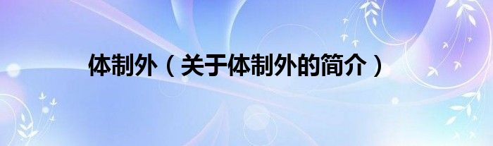 體制外（關(guān)于體制外的簡介）