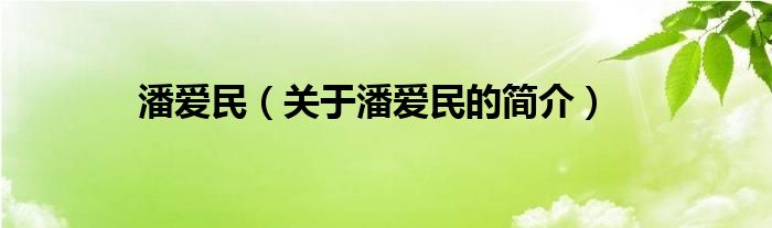 潘愛民（關(guān)于潘愛民的簡介）