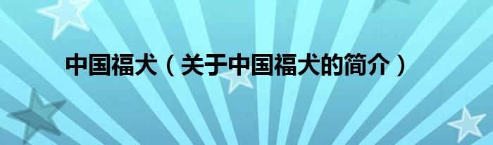 中國(guó)福犬（關(guān)于中國(guó)福犬的簡(jiǎn)介）