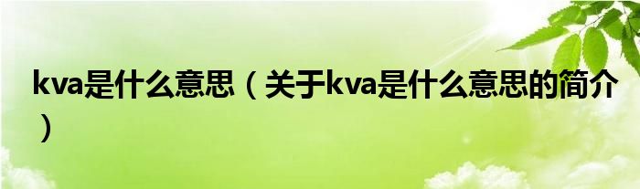 kva是什么意思（關(guān)于kva是什么意思的簡(jiǎn)介）