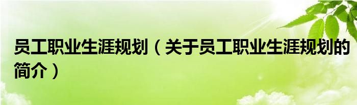 員工職業(yè)生涯規(guī)劃（關于員工職業(yè)生涯規(guī)劃的簡介）