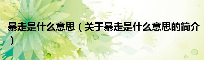 暴走是什么意思（關(guān)于暴走是什么意思的簡(jiǎn)介）