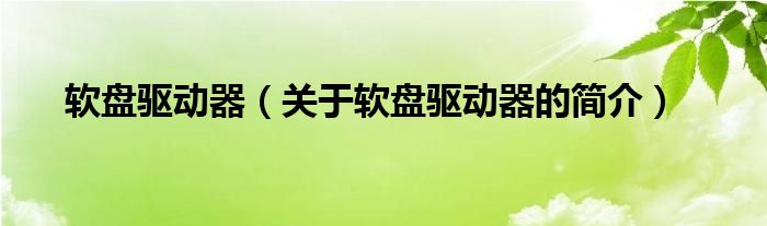 軟盤驅(qū)動(dòng)器（關(guān)于軟盤驅(qū)動(dòng)器的簡介）