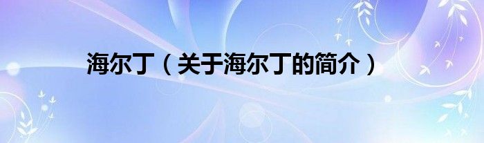 海爾?。P(guān)于海爾丁的簡(jiǎn)介）