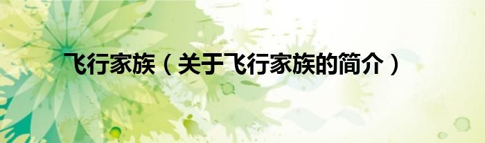 飛行家族（關(guān)于飛行家族的簡(jiǎn)介）