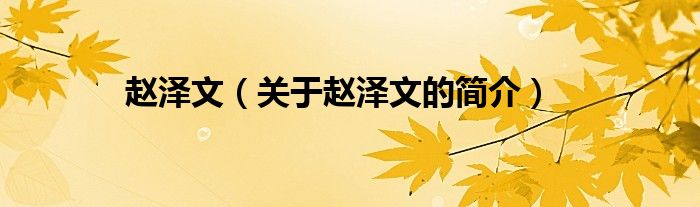 趙澤文（關(guān)于趙澤文的簡(jiǎn)介）