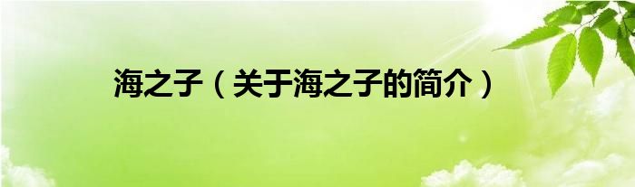 海之子（關(guān)于海之子的簡(jiǎn)介）