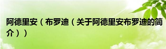 阿德里安（布羅迪（關(guān)于阿德里安布羅迪的簡(jiǎn)介））