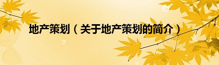 地產(chǎn)策劃（關(guān)于地產(chǎn)策劃的簡介）