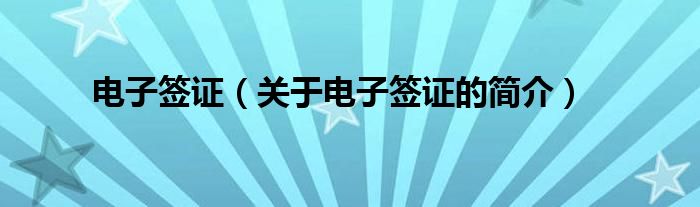 電子簽證（關(guān)于電子簽證的簡(jiǎn)介）