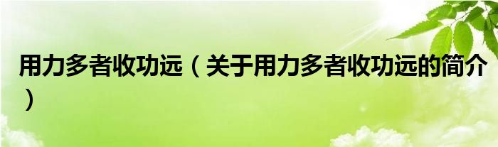 用力多者收功遠(yuǎn)（關(guān)于用力多者收功遠(yuǎn)的簡介）