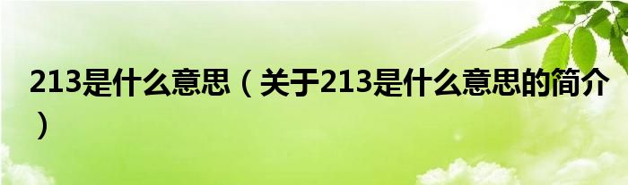 213是什么意思（關于213是什么意思的簡介）