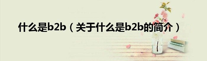 什么是b2b（關于什么是b2b的簡介）