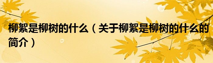 柳絮是柳樹的什么（關(guān)于柳絮是柳樹的什么的簡介）