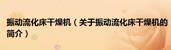 振動流化床干燥機（關于振動流化床干燥機的簡介）