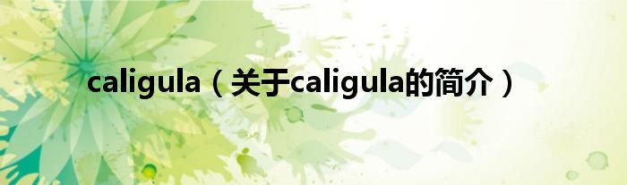 caligula（關于caligula的簡介）