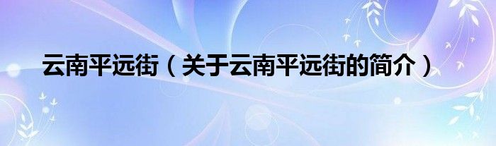 云南平遠街（關于云南平遠街的簡介）