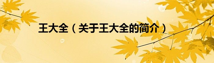 王大全（關(guān)于王大全的簡(jiǎn)介）