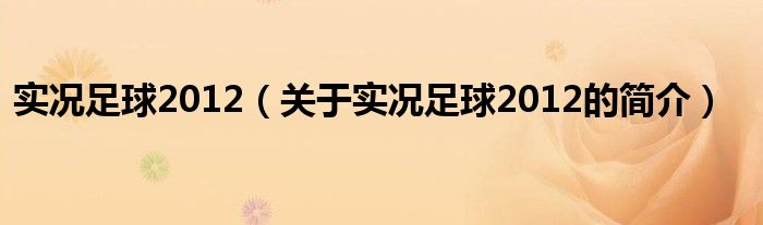 實(shí)況足球2012（關(guān)于實(shí)況足球2012的簡(jiǎn)介）