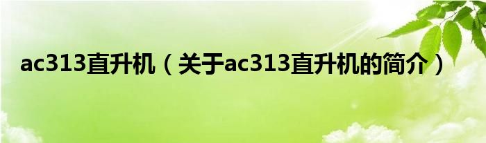 ac313直升機(jī)（關(guān)于ac313直升機(jī)的簡(jiǎn)介）