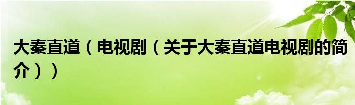 大秦直道（電視劇（關(guān)于大秦直道電視劇的簡介））