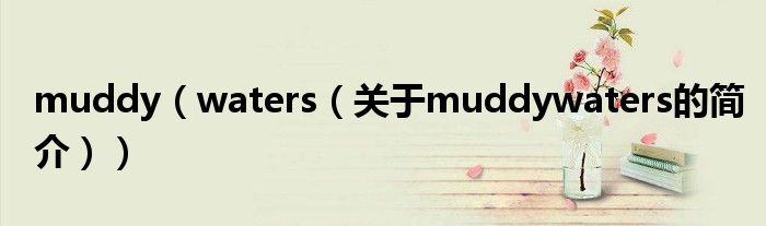 muddy（waters（關(guān)于muddywaters的簡(jiǎn)介））