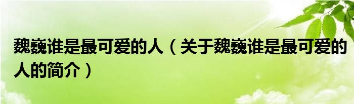 魏巍誰(shuí)是最可愛的人（關(guān)于魏巍誰(shuí)是最可愛的人的簡(jiǎn)介）