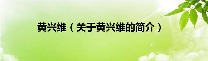 黃興維（關(guān)于黃興維的簡介）