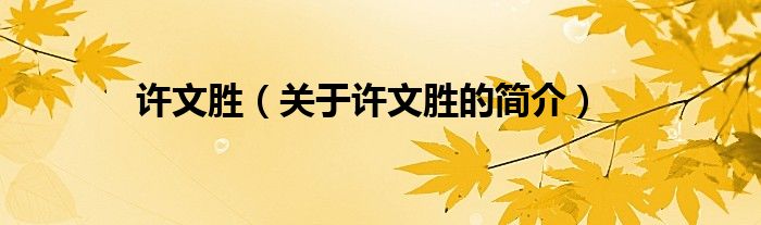 許文勝（關于許文勝的簡介）