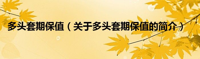 多頭套期保值（關(guān)于多頭套期保值的簡介）