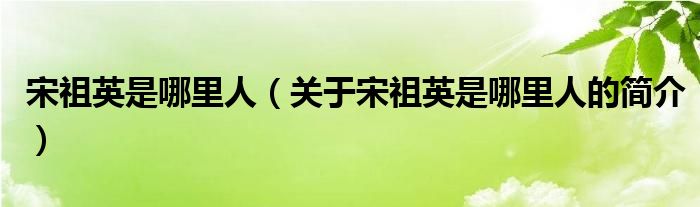 宋祖英是哪里人（關(guān)于宋祖英是哪里人的簡(jiǎn)介）