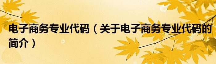 電子商務專業(yè)代碼（關于電子商務專業(yè)代碼的簡介）