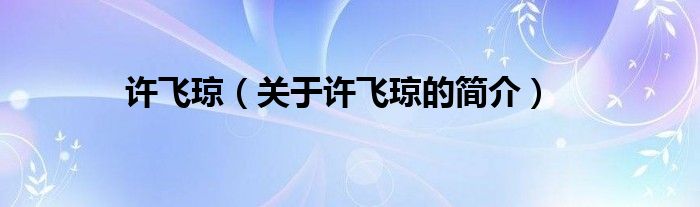 許飛瓊（關(guān)于許飛瓊的簡介）