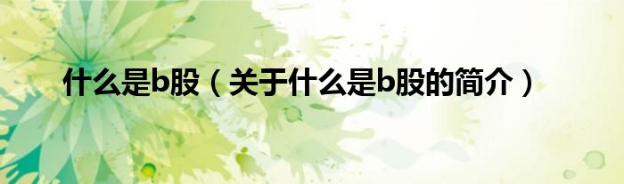 什么是b股（關(guān)于什么是b股的簡介）