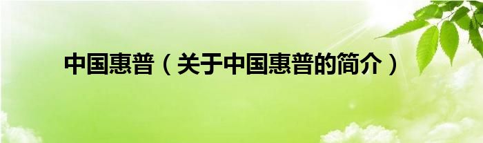 中國(guó)惠普（關(guān)于中國(guó)惠普的簡(jiǎn)介）