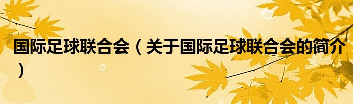 國(guó)際足球聯(lián)合會(huì)（關(guān)于國(guó)際足球聯(lián)合會(huì)的簡(jiǎn)介）