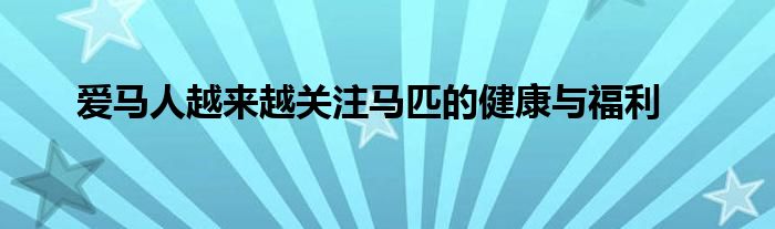 愛(ài)馬人越來(lái)越關(guān)注馬匹的健康與福利