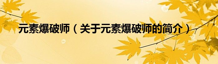 元素爆破師（關于元素爆破師的簡介）