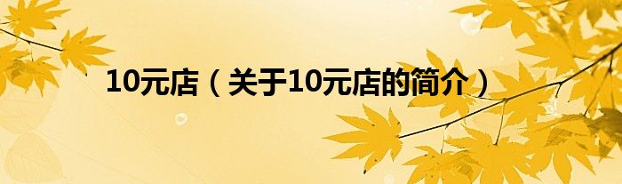 10元店（關(guān)于10元店的簡介）